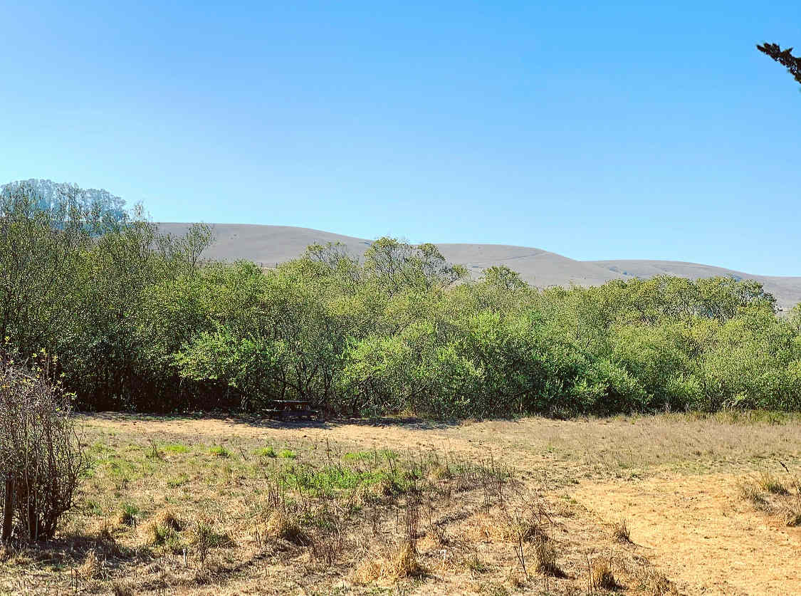 Stemple Creek Ranch