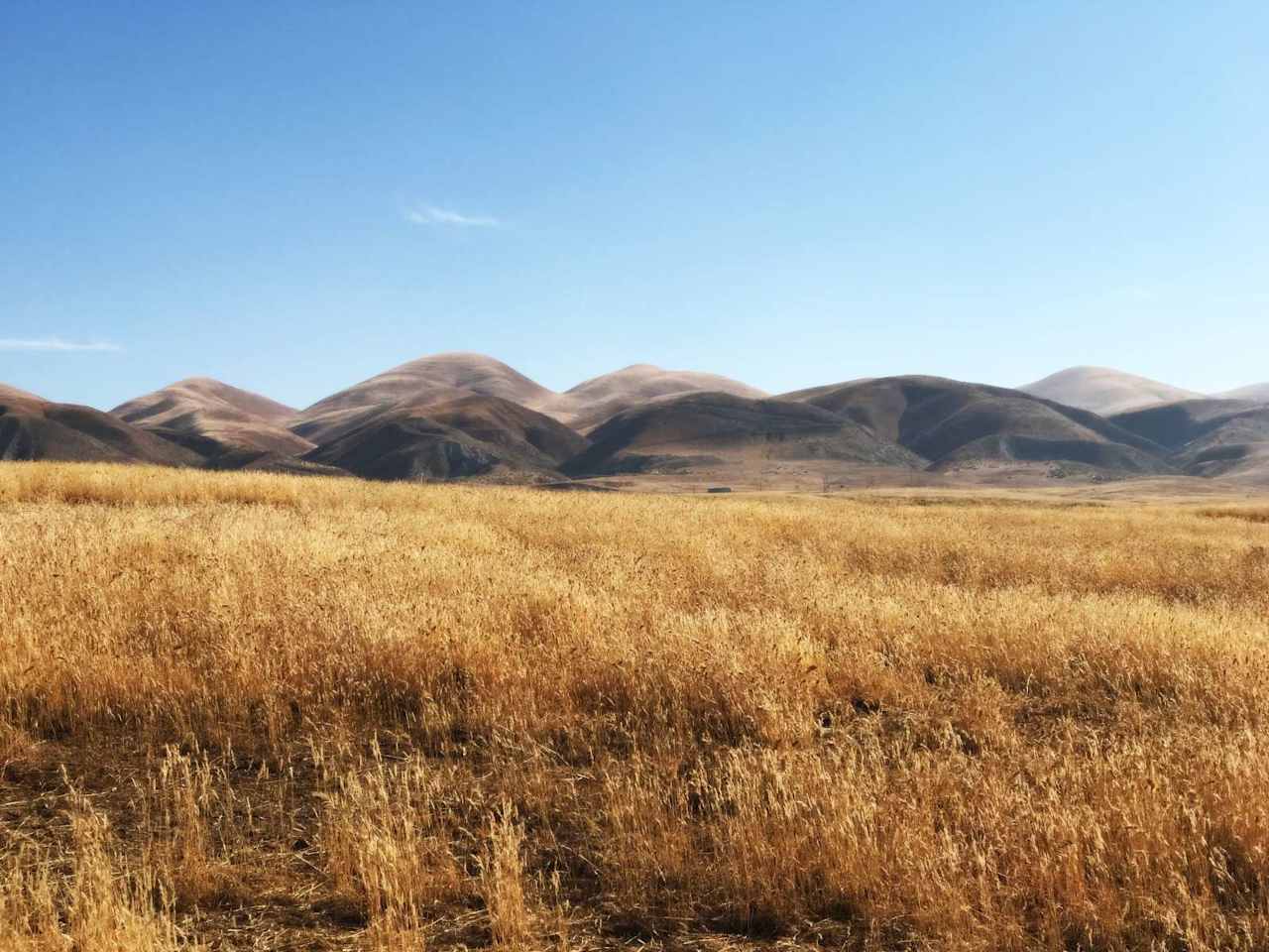 Secluded Carrizo Plains Campsite