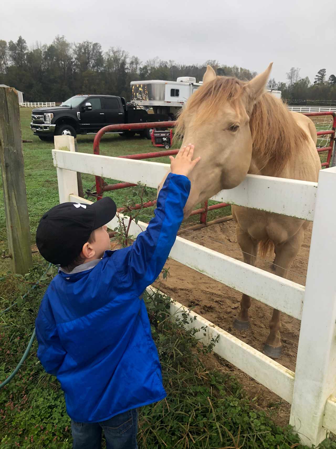 Horse Ranch-a short drive from 95