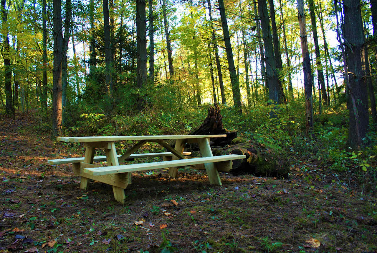 Newly constructed 8 foot picnic table. 