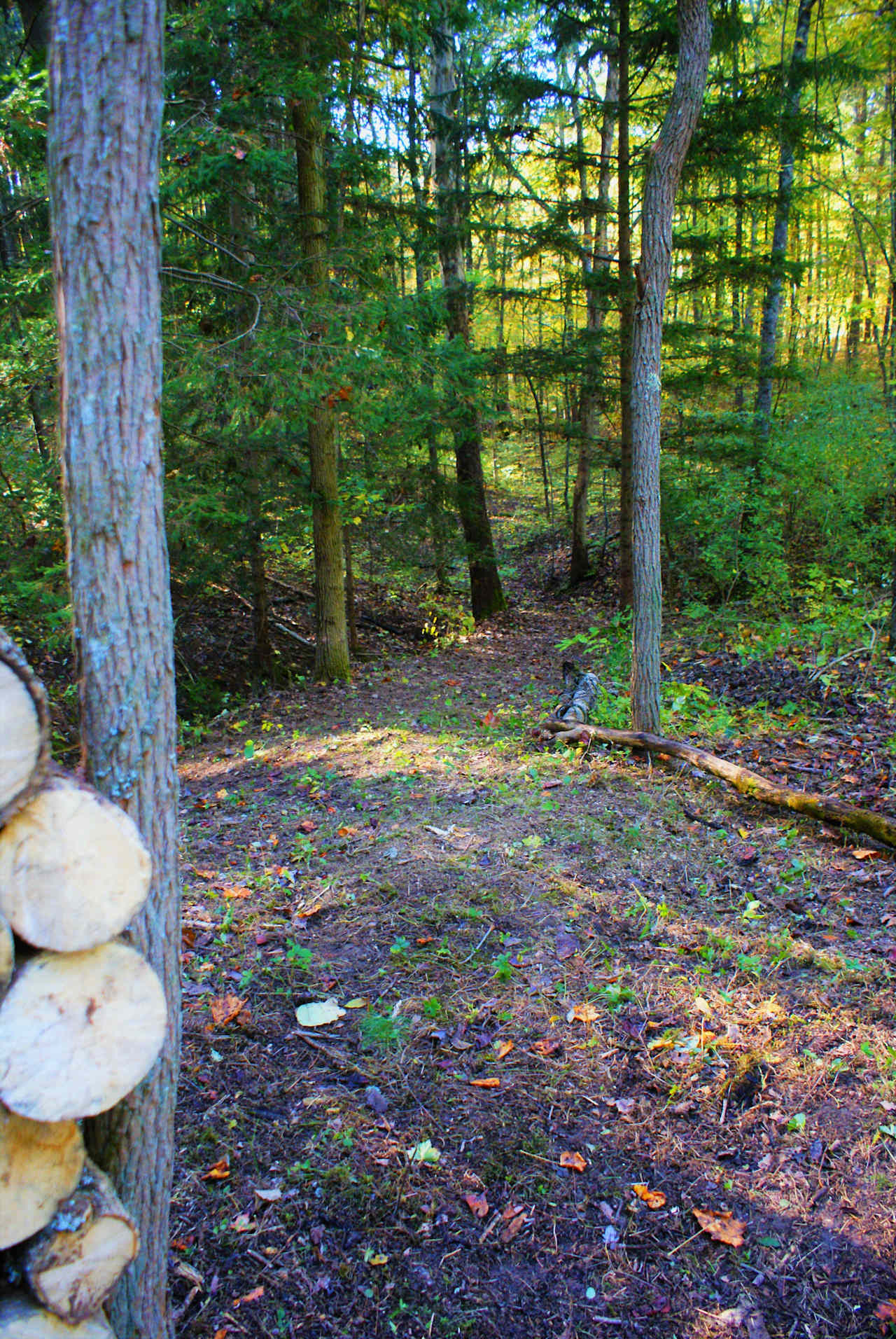 This is the trail leading to an additional relaxation bench. 