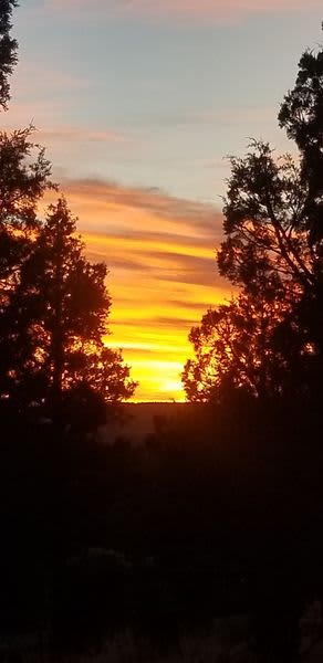 Sunsets are amazing