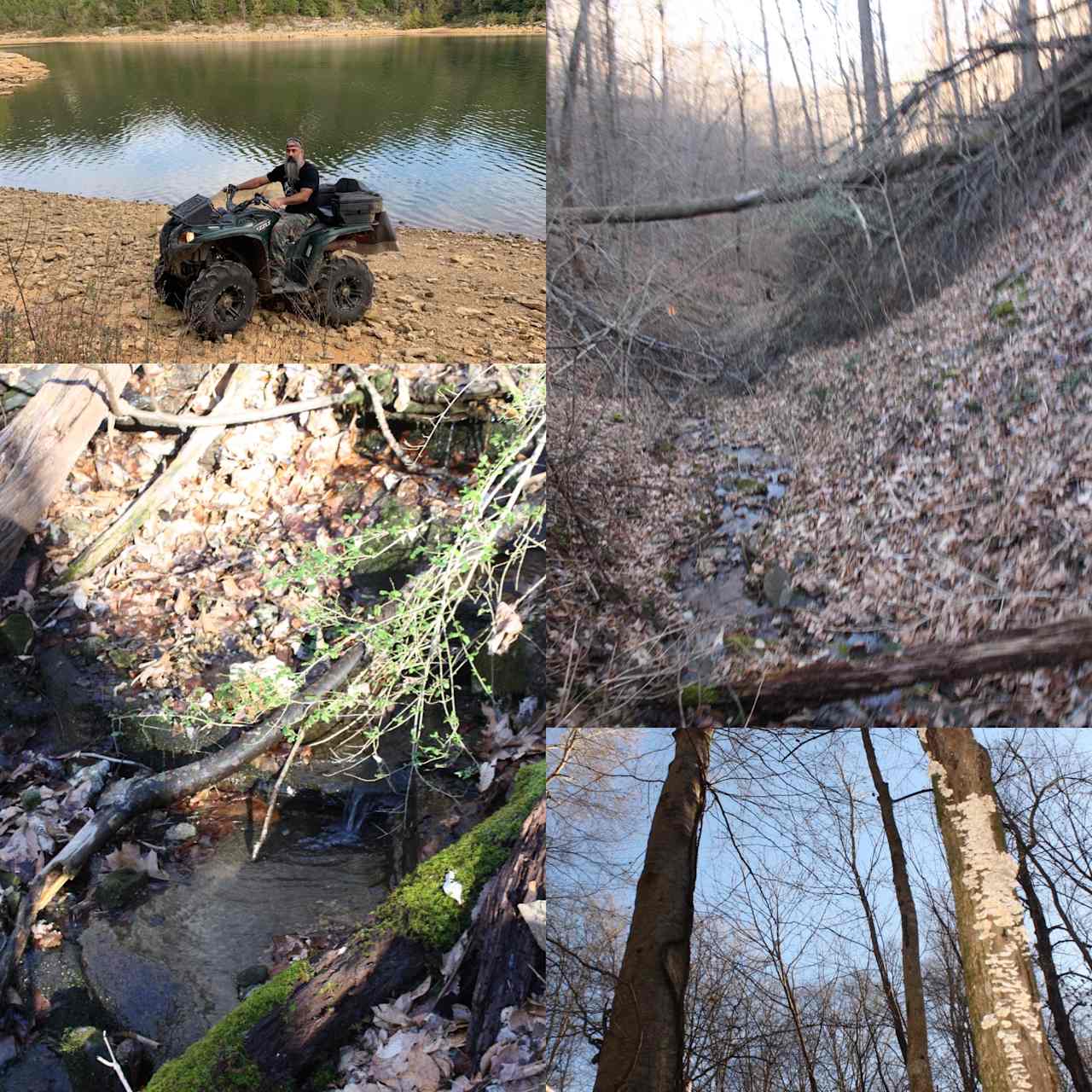 Primitive sites for hikers near the Spring water stream