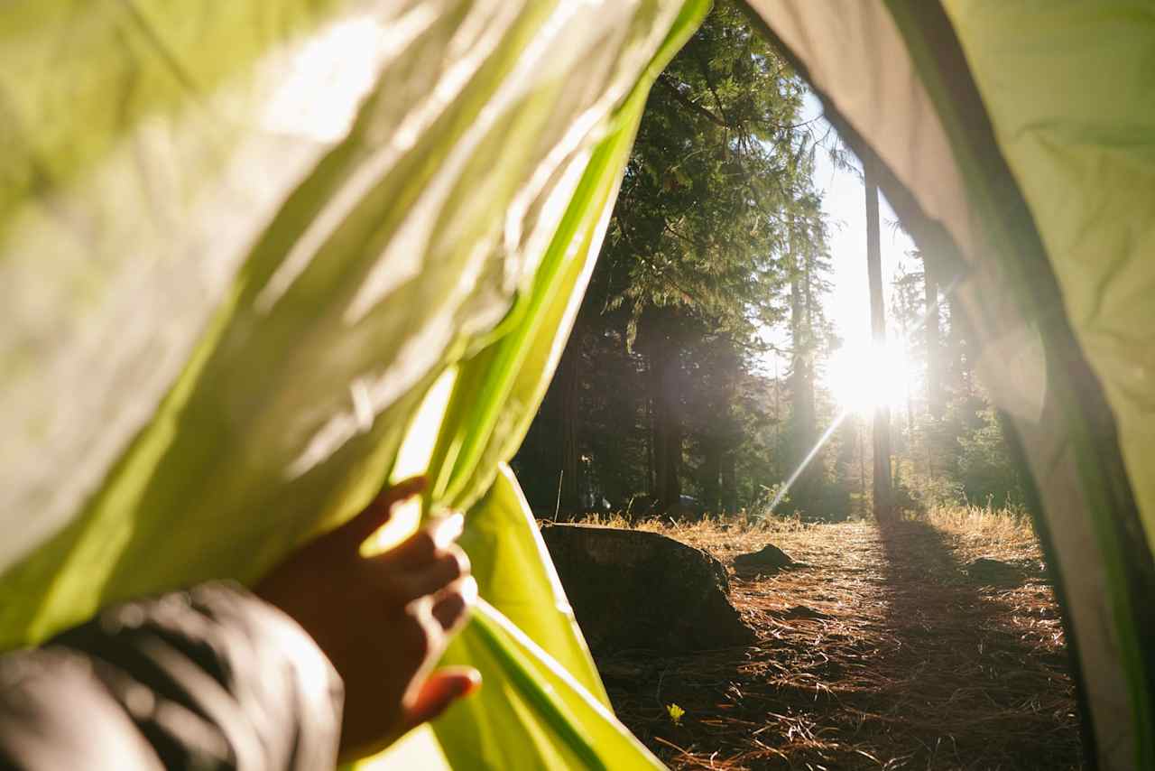 Morning light at site #17