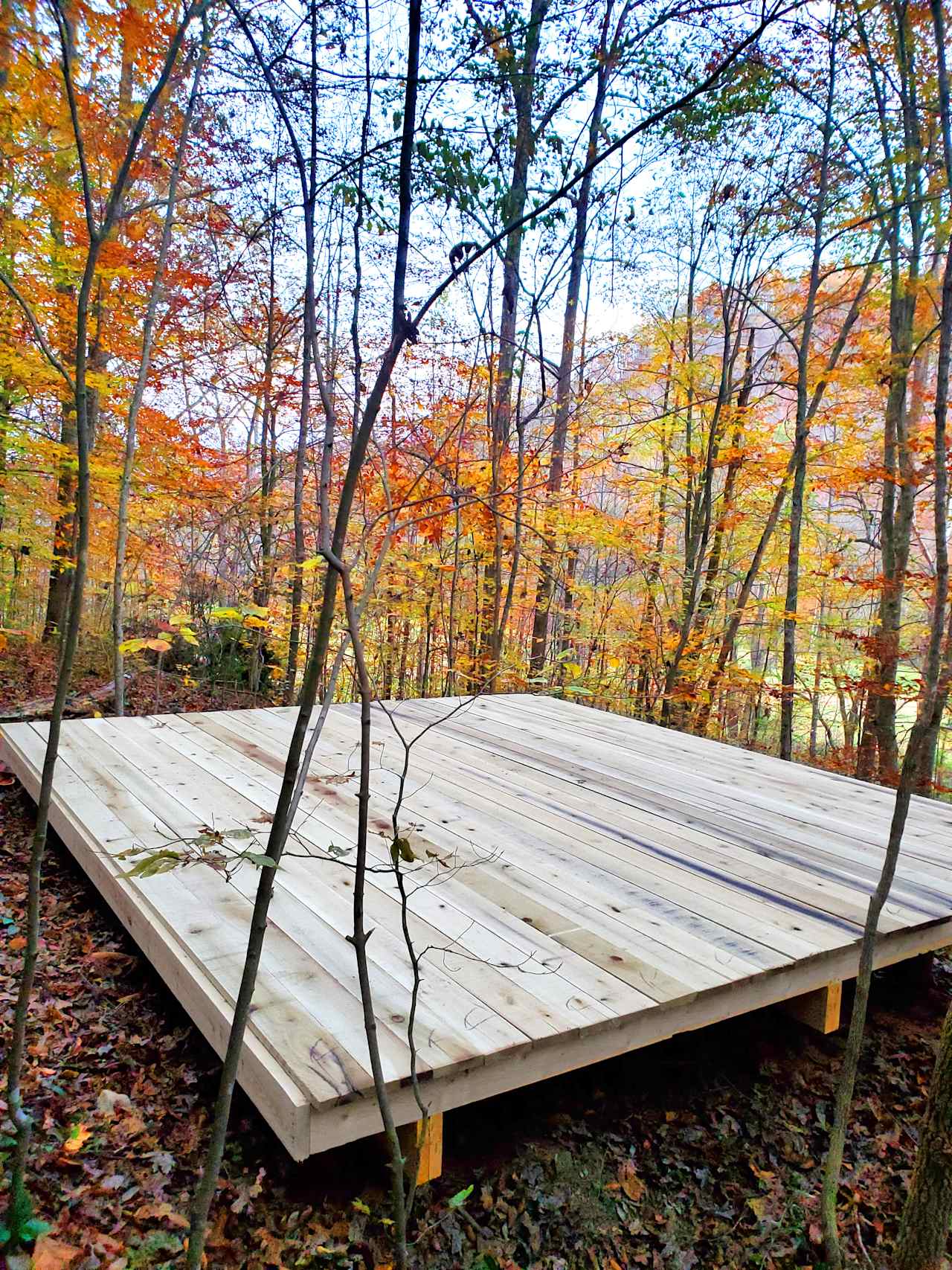 Yoga porch (14 x 16ft)