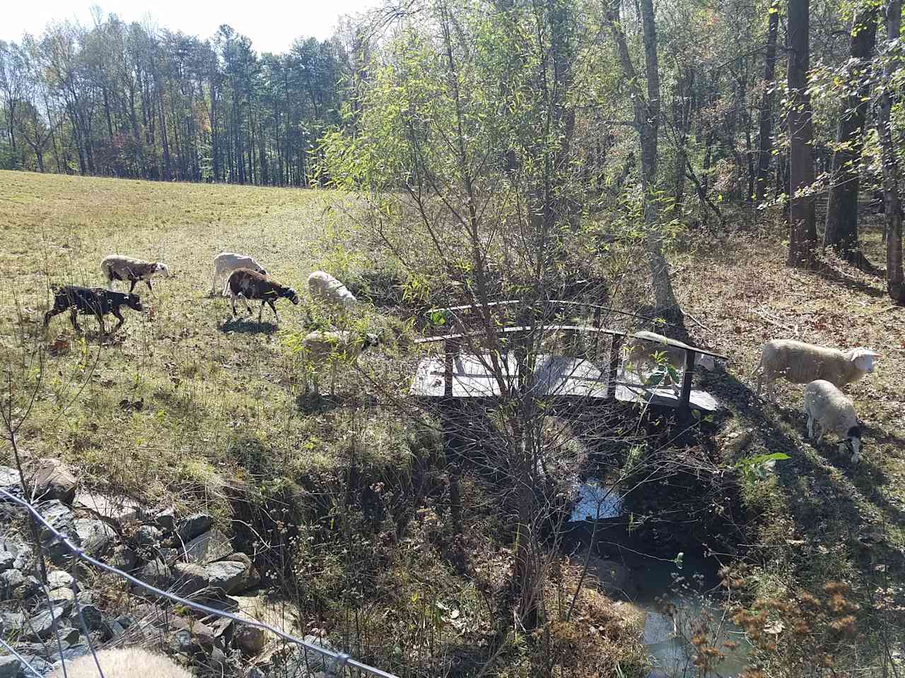 Brookhaven Mill Farm