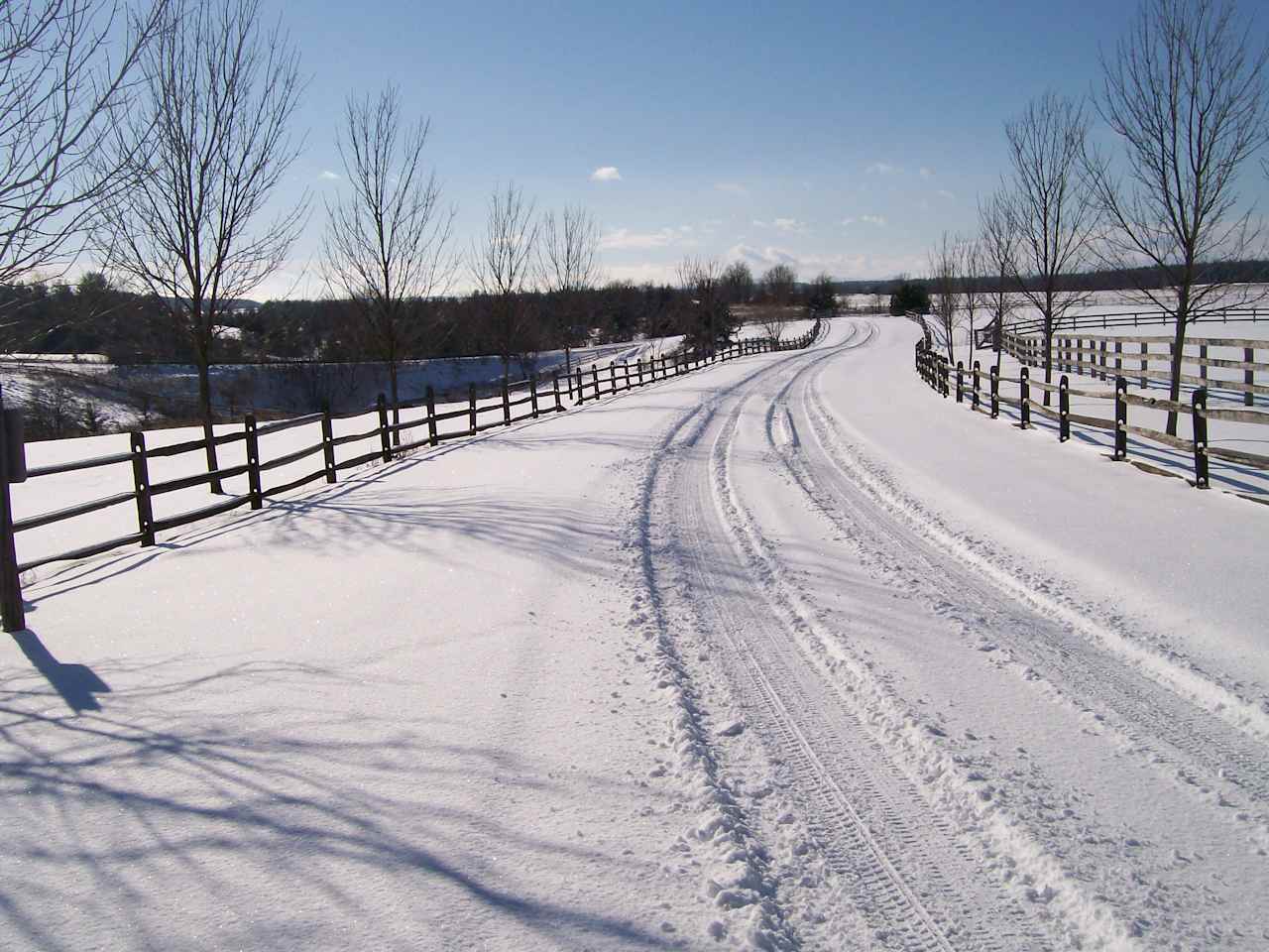 Looking down our driveway after a storm.