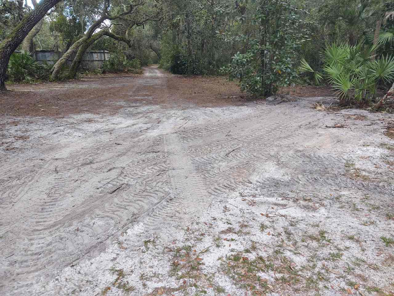 Animal farm, Ocala National Forest