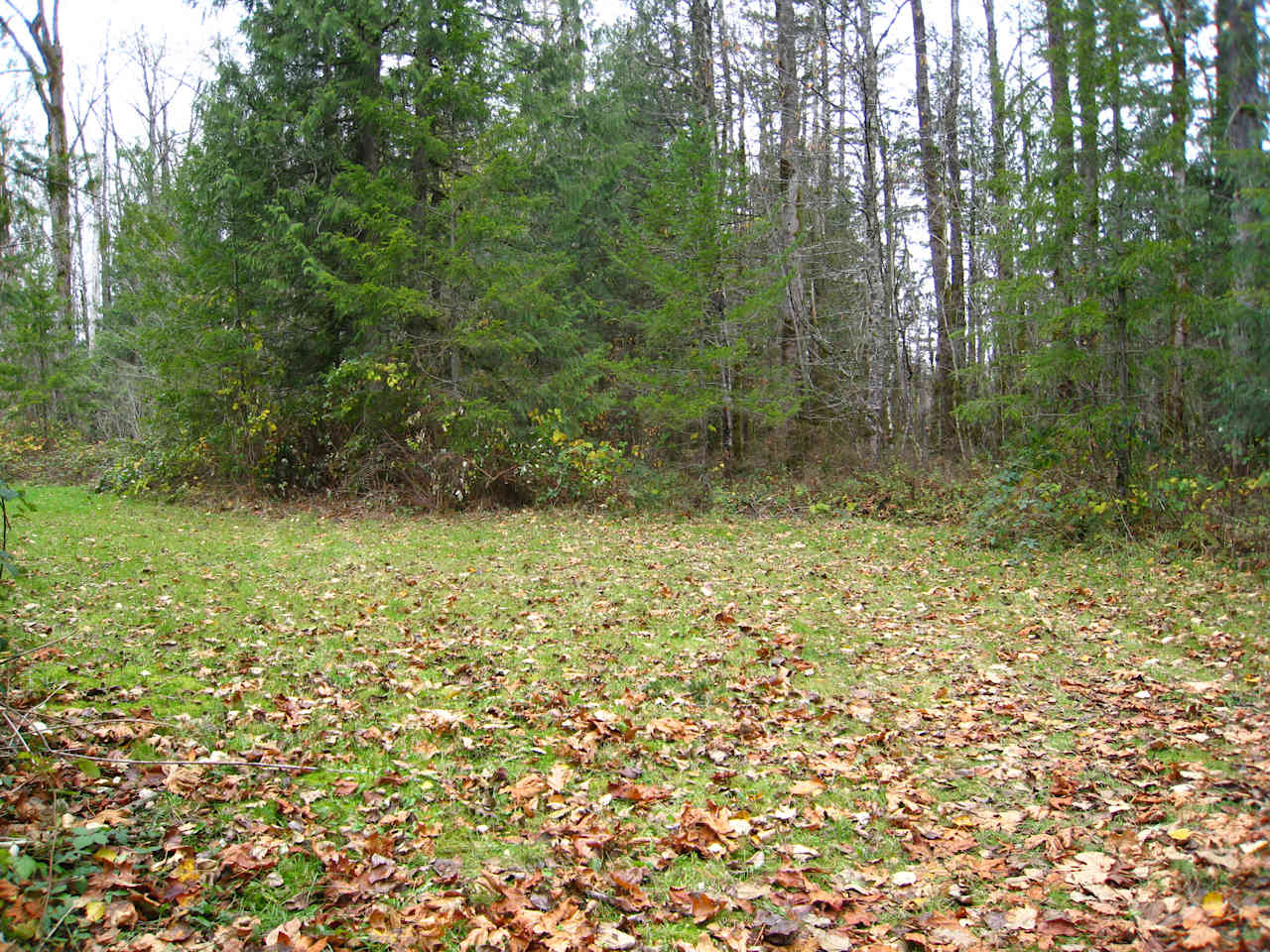 Forested with River Access/Firepit