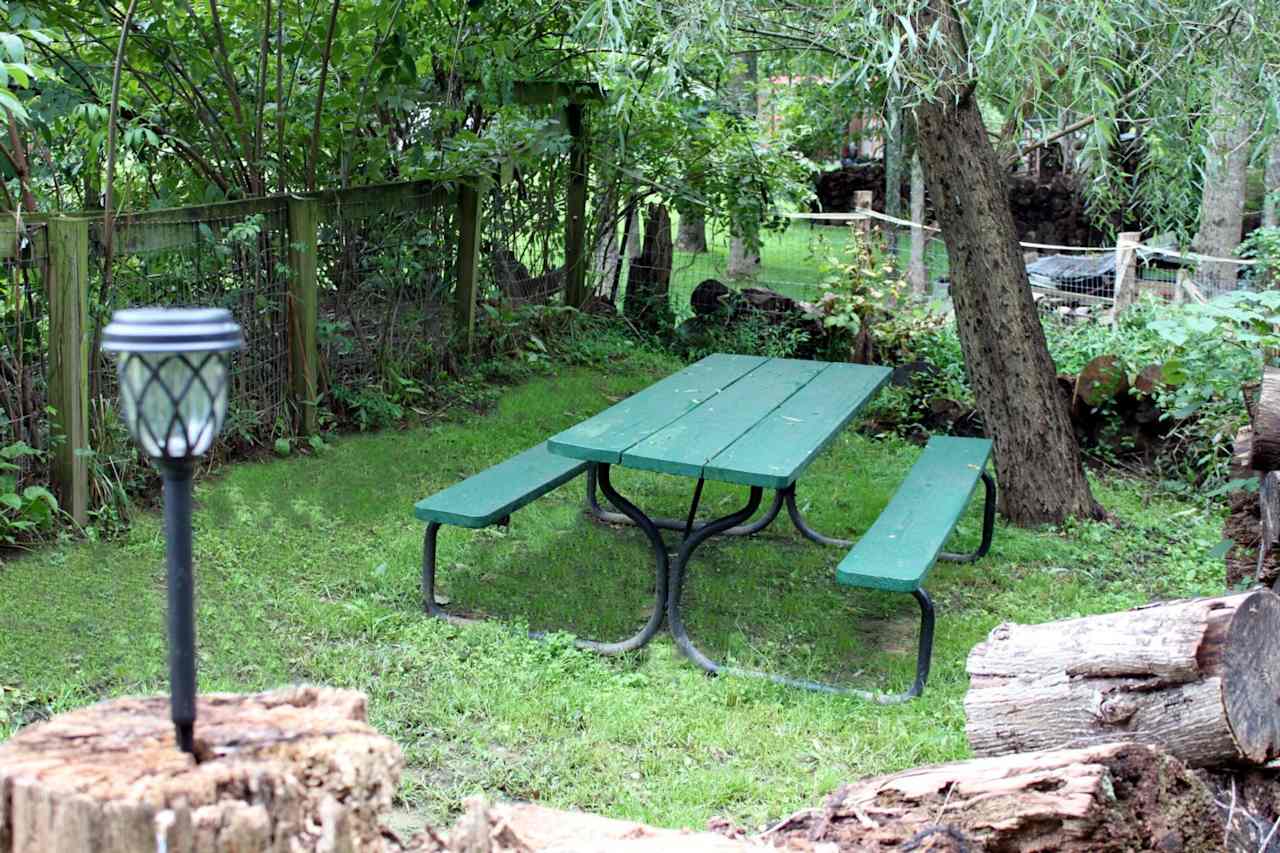 This is our picnic table under the willow tree. 