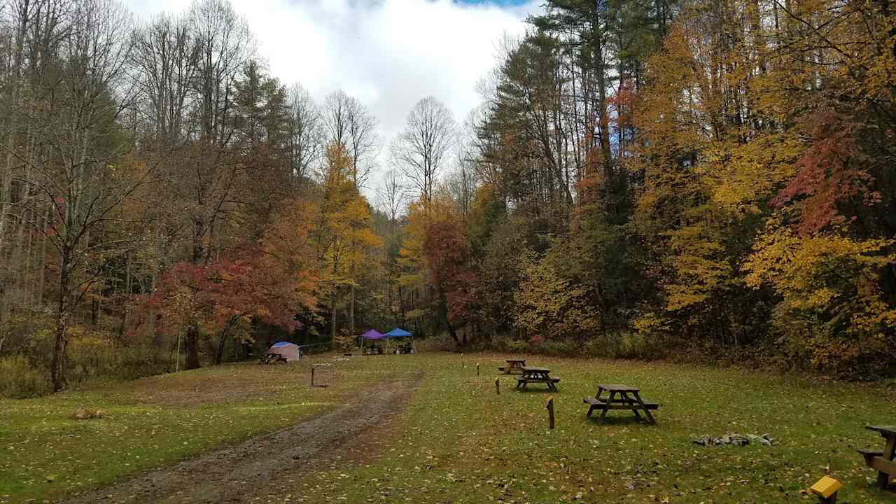 Black Bear Resort