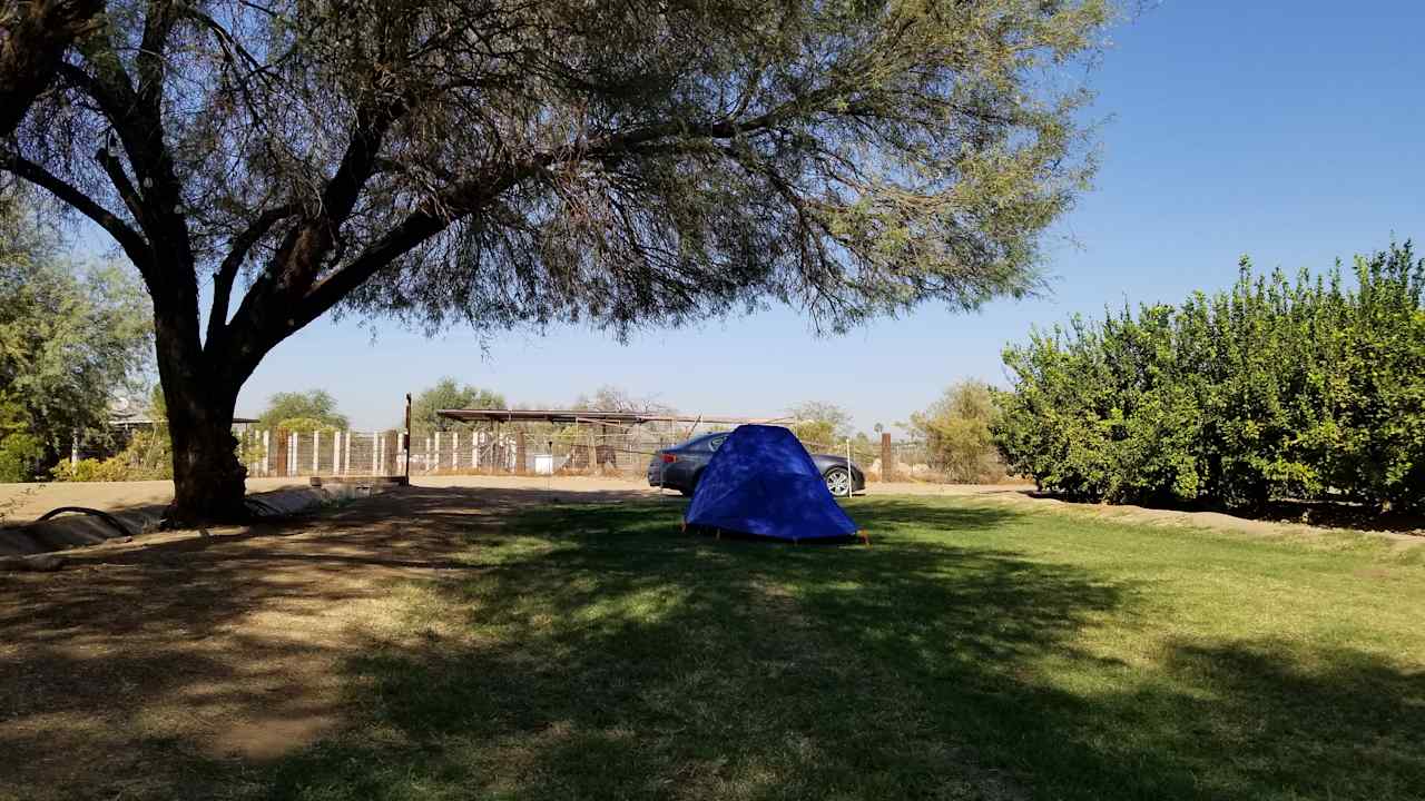 Pinnacle Farms South