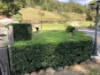 Estate Lodges Caravan & Camping