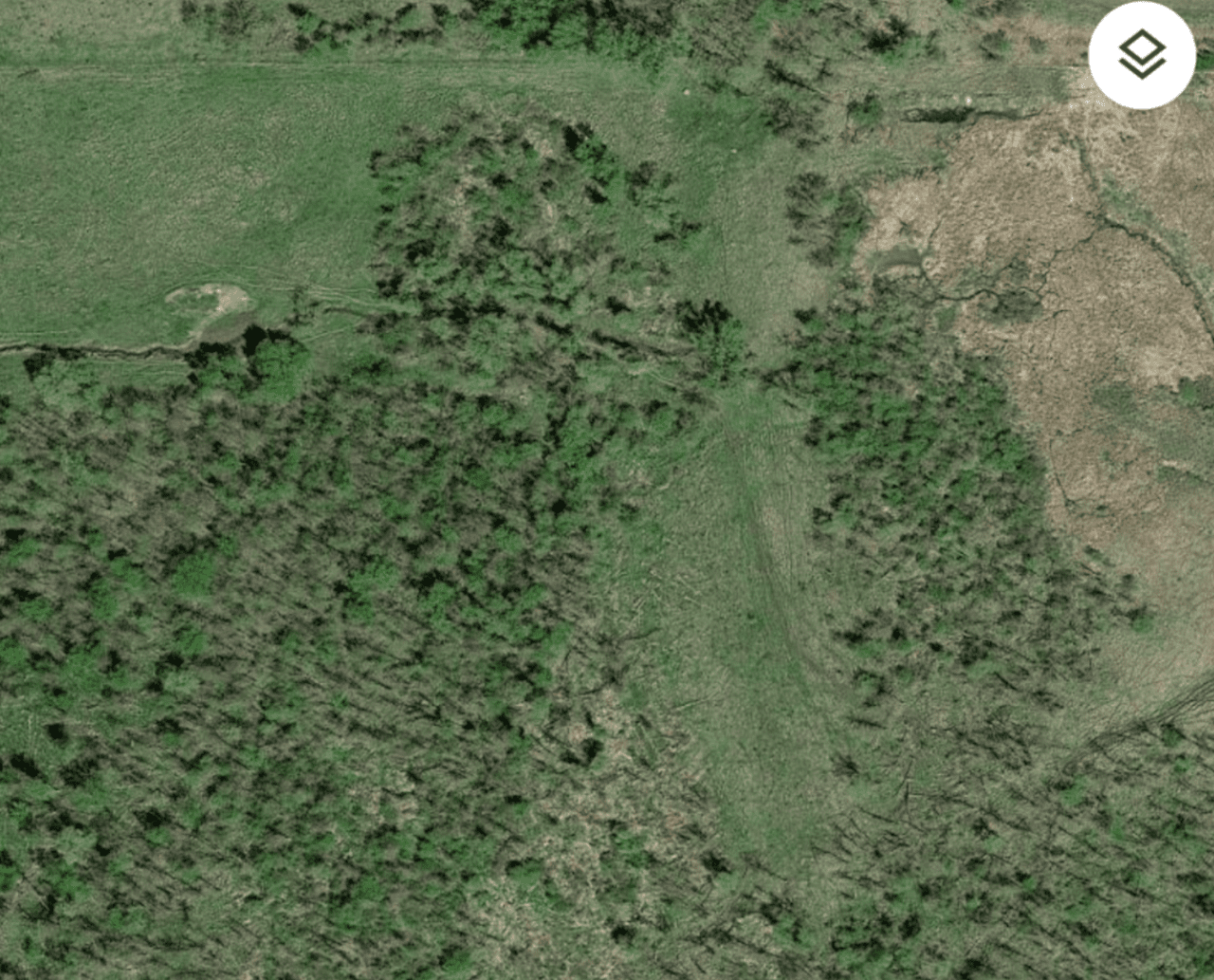 Rugged Prarie Paradise