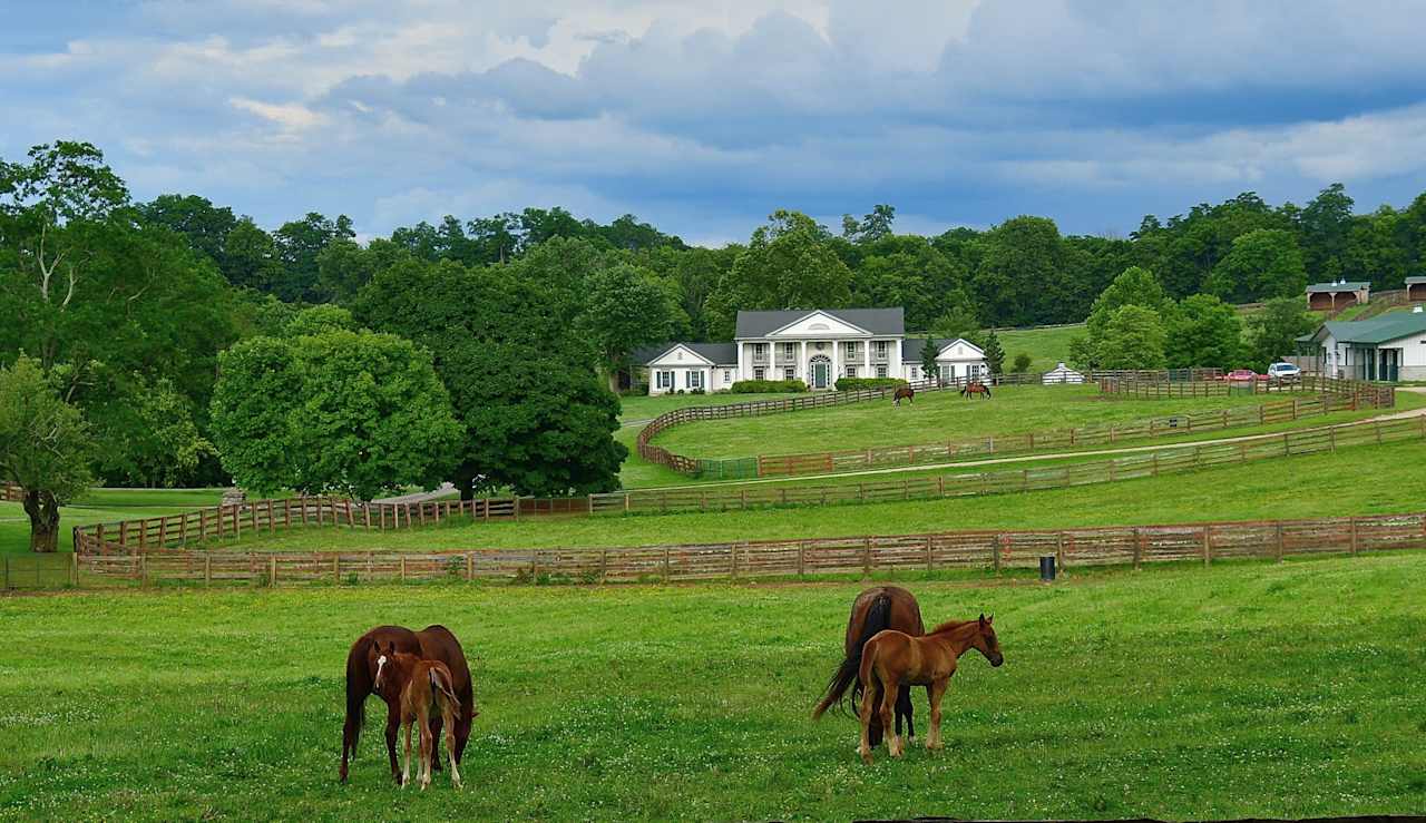 Queenslake - Classic KY Horse Farm