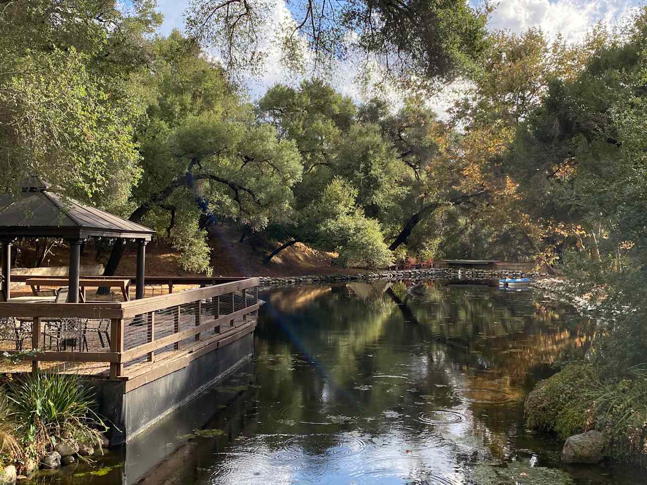 Temecula Bullfrog Pond