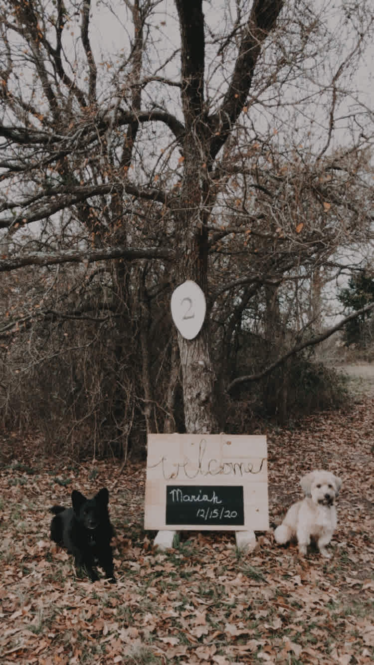 Regena had our name written at our campsite, it was such a thoughtful touch to arrive to! 