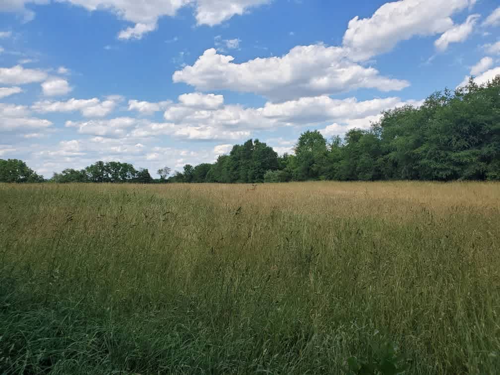 Old Soul Farm