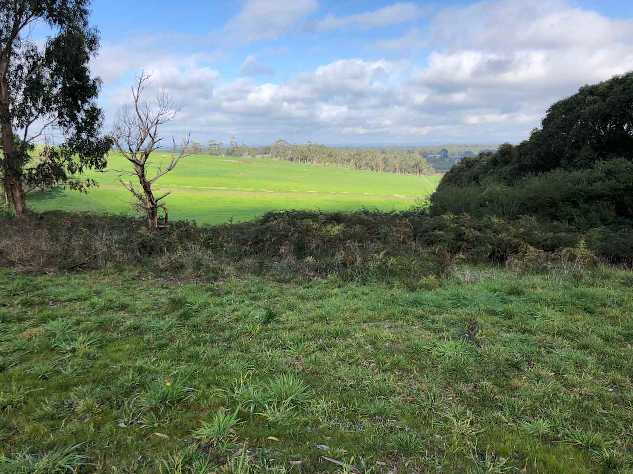 Door to the Otways