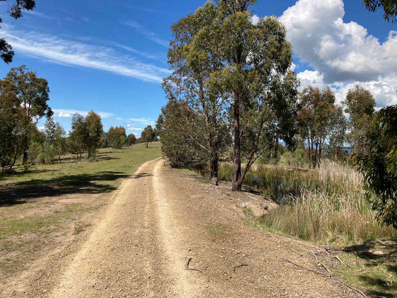 Eagle Ridge