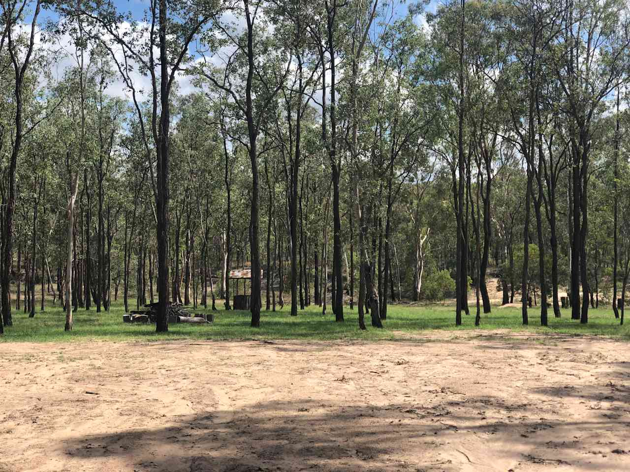 Ballogie Bush Camp