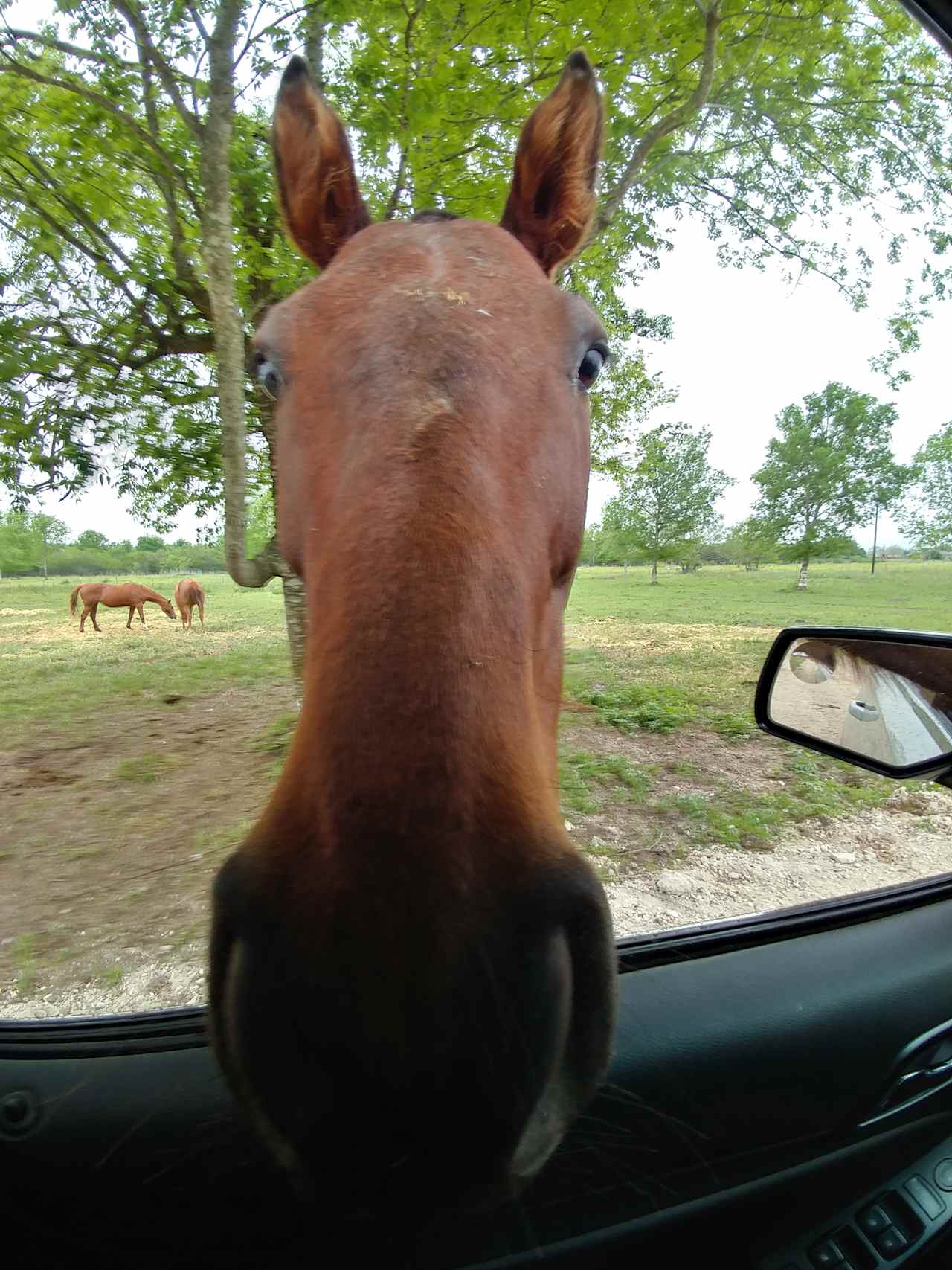 Quiet farm wildlife reserve