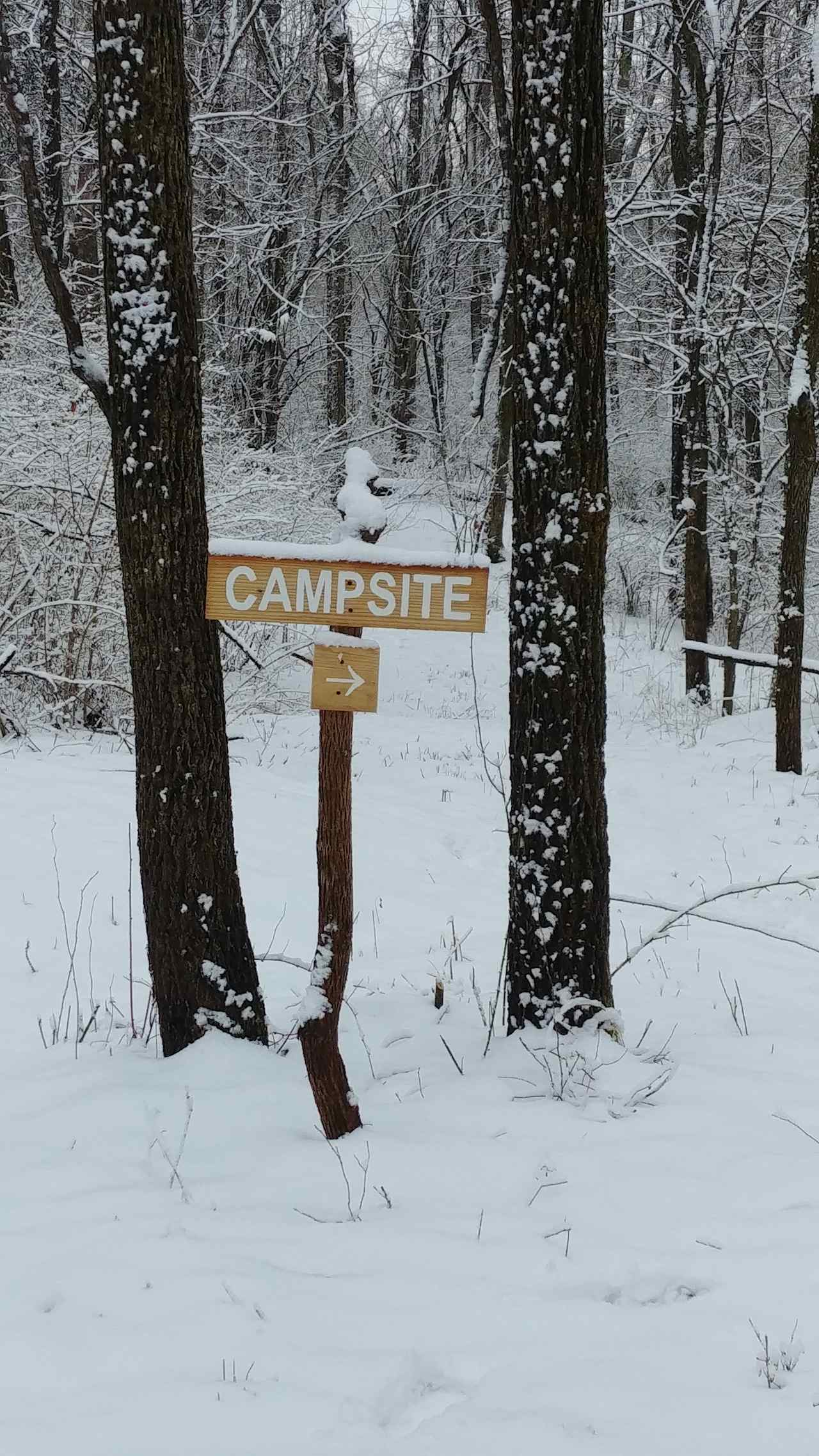 Backwoods Camping