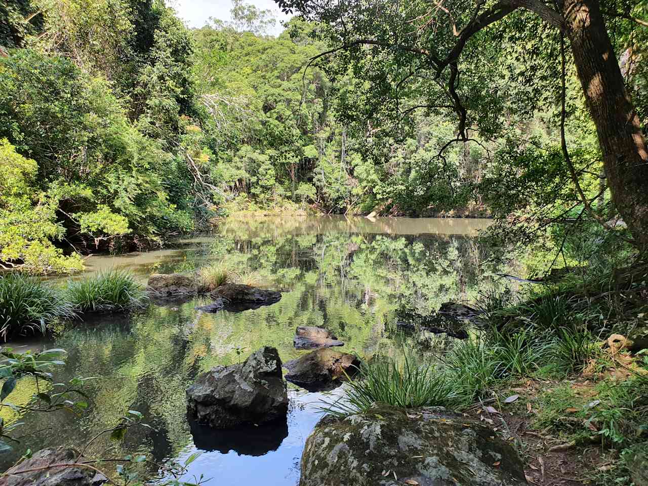 Anandaland: Land of Bliss