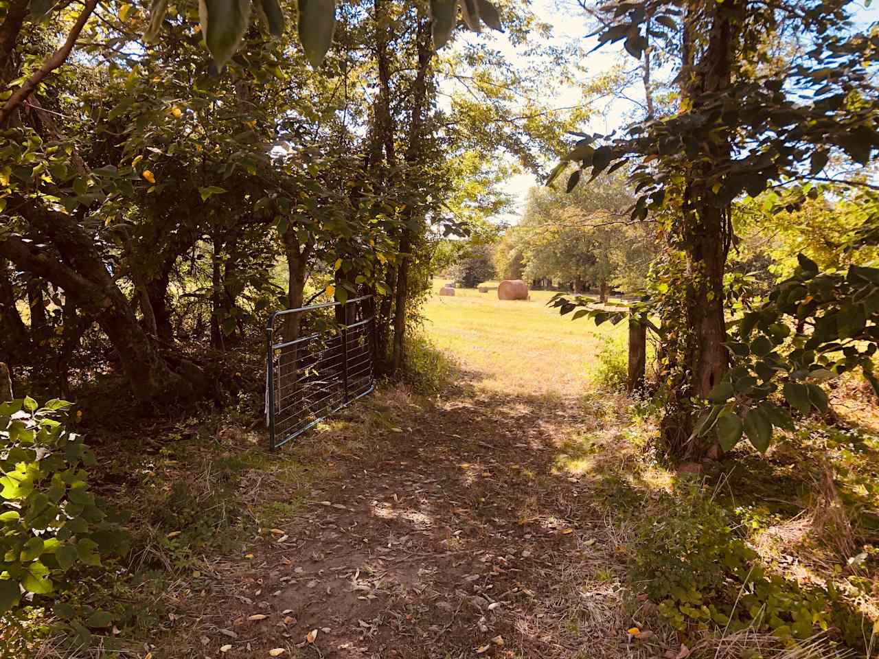 Hiking area