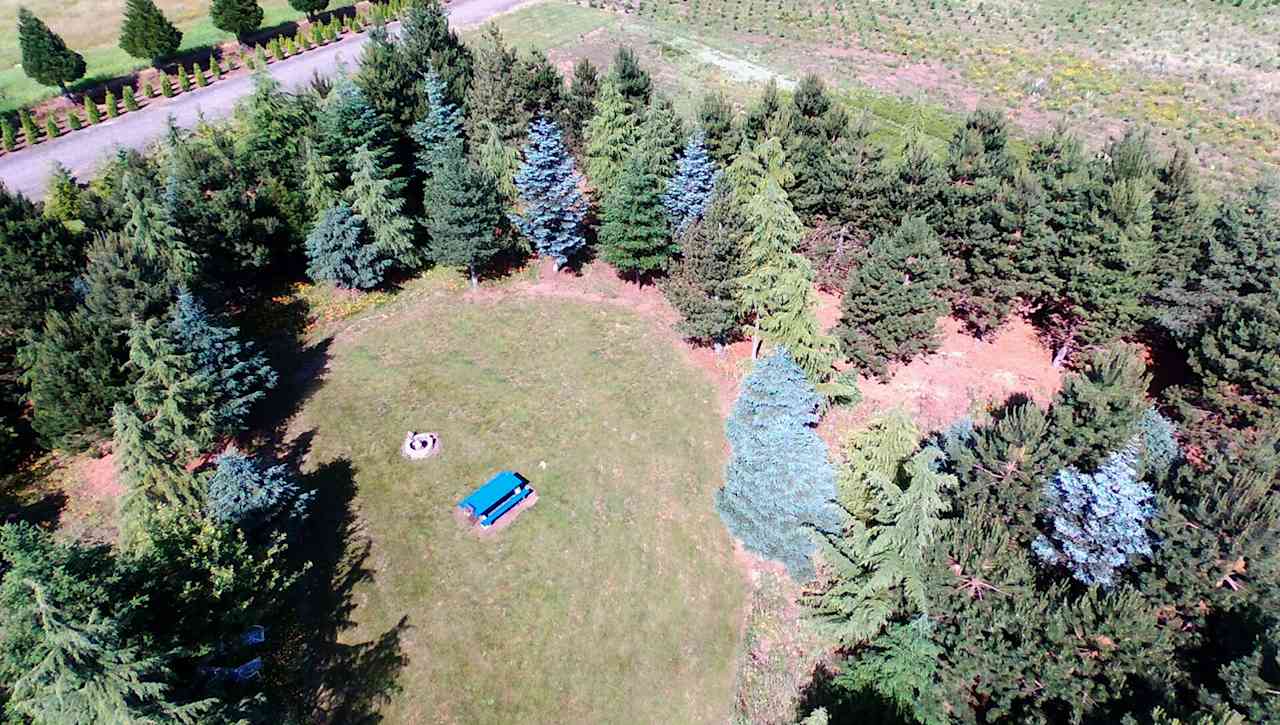 The Arboretum at Bear Canyon West