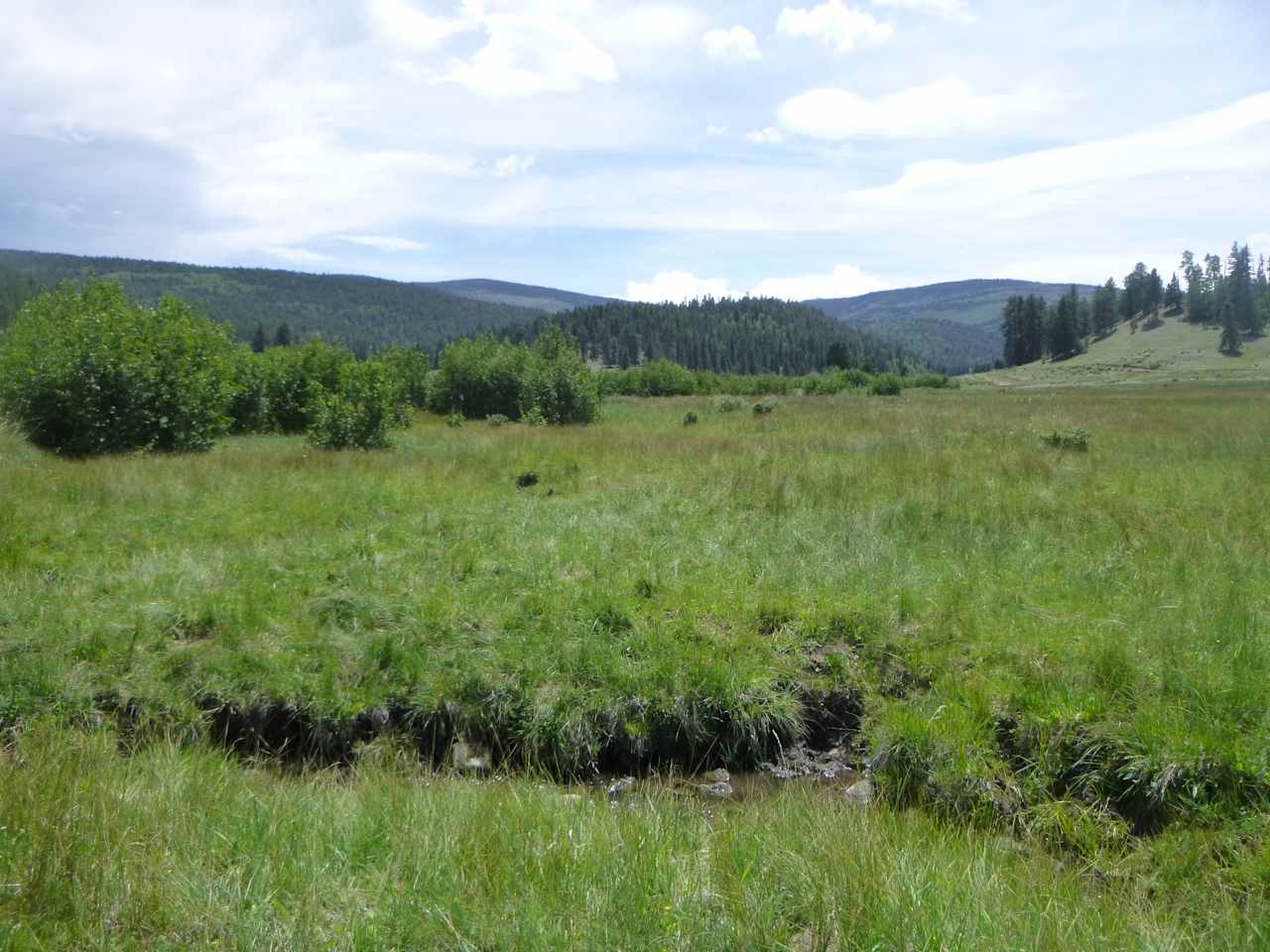 South Boundary Yurt in Taos Canyon