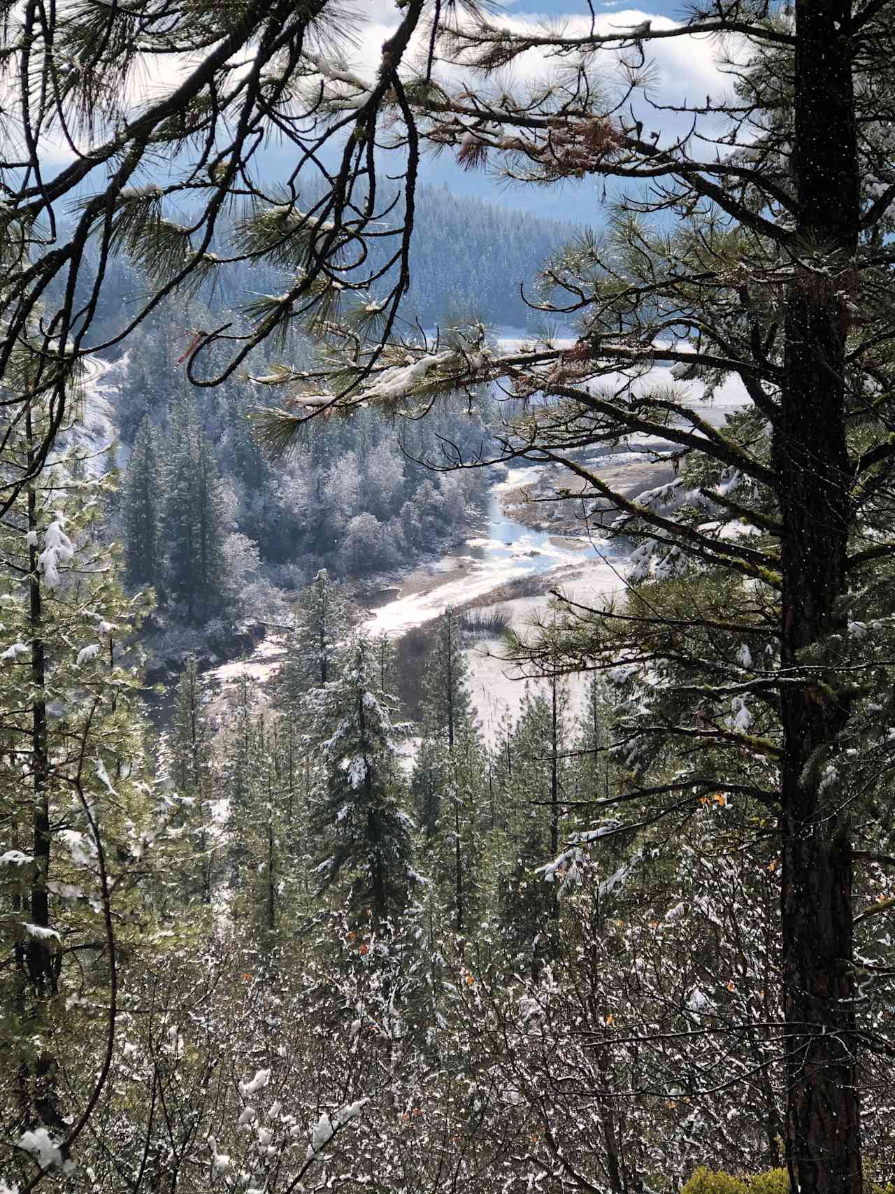 Camp Becausewecan