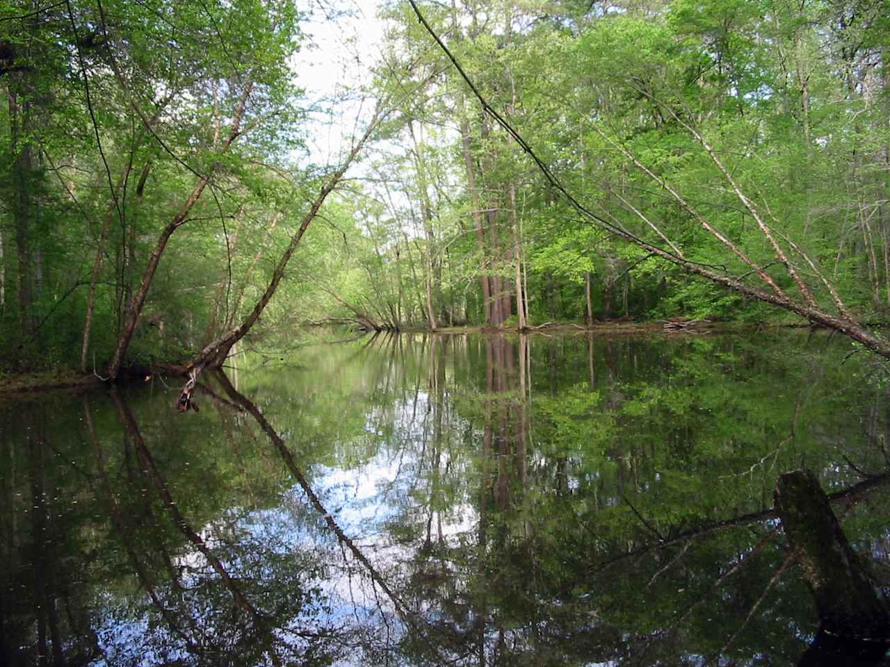Big Creek RV Park of Saluda SC