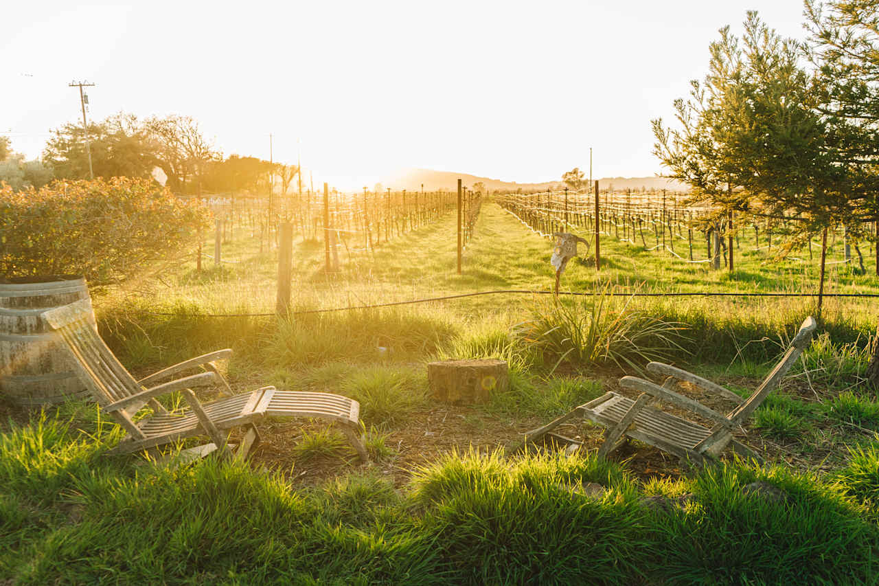 Sunset in Sonoma.