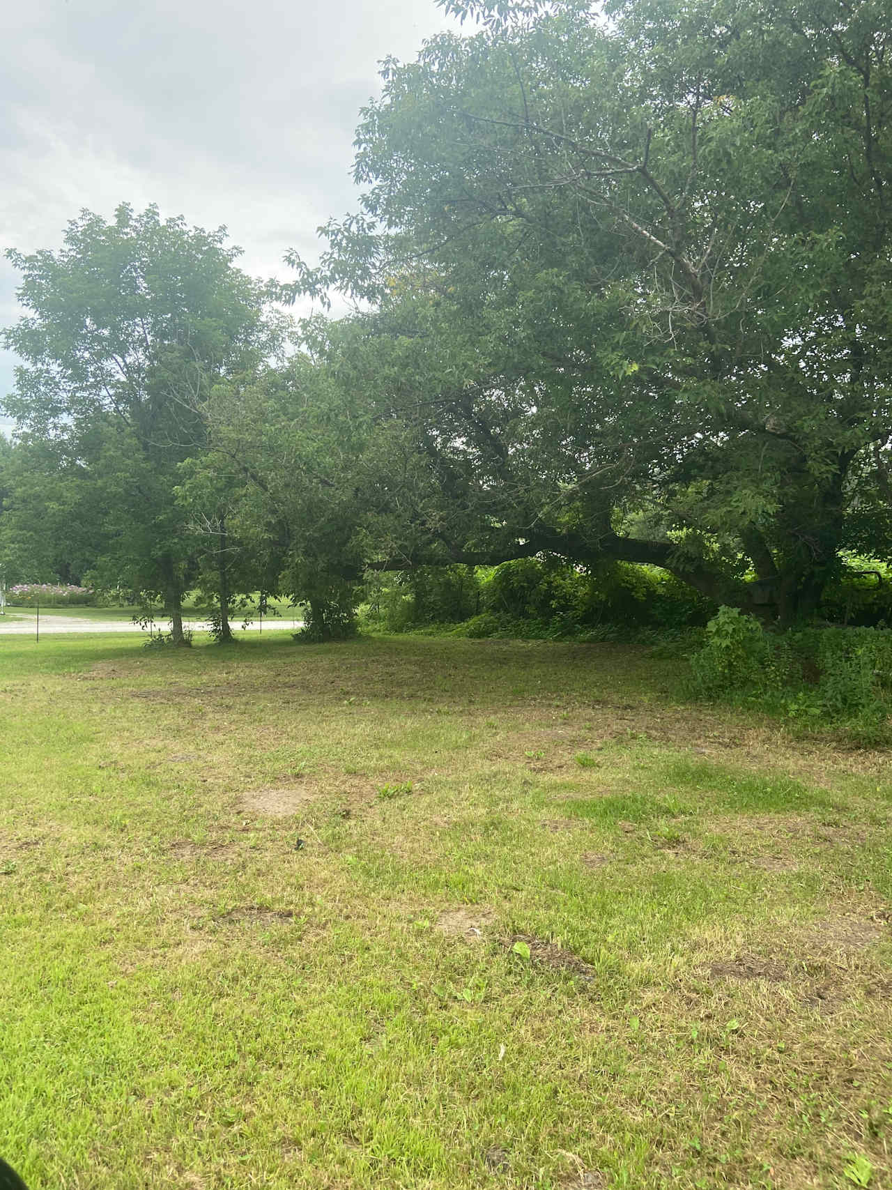 2 city lots in Fillmore MN.