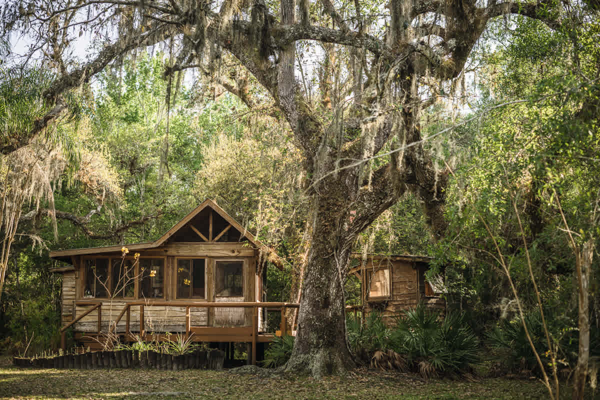 The cabin is beautiful!