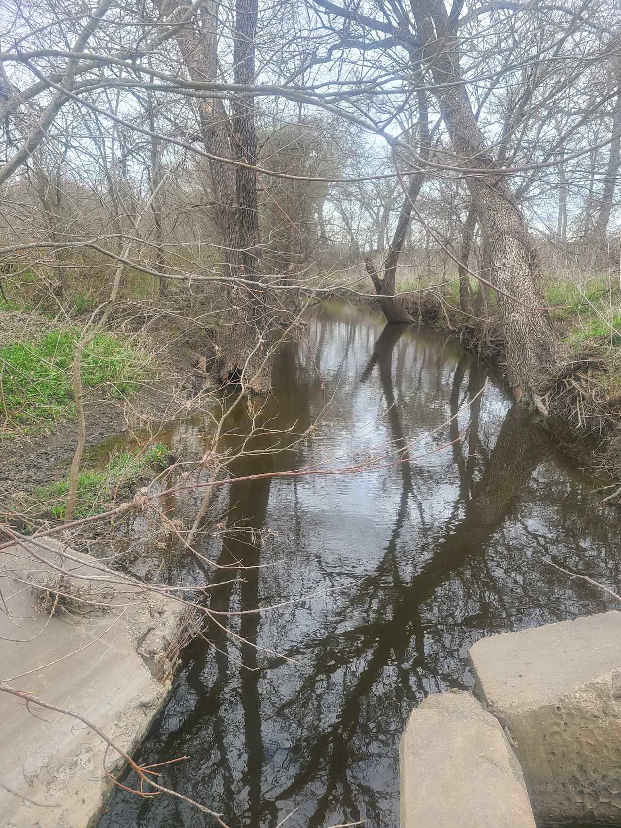 Amanda S.’s Land