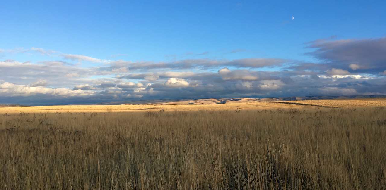 Vistas for miles.