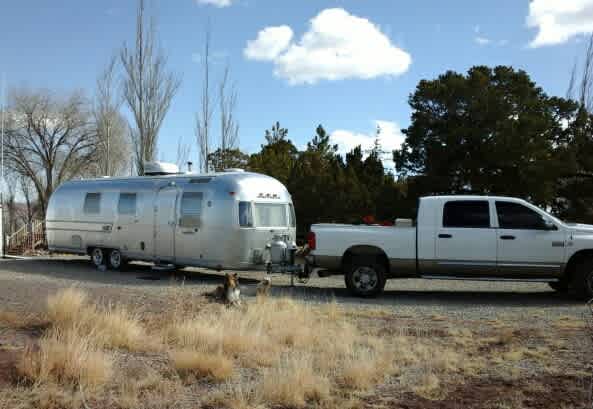 Our happy collie dog and the small emergency back-up dog by our trailer.