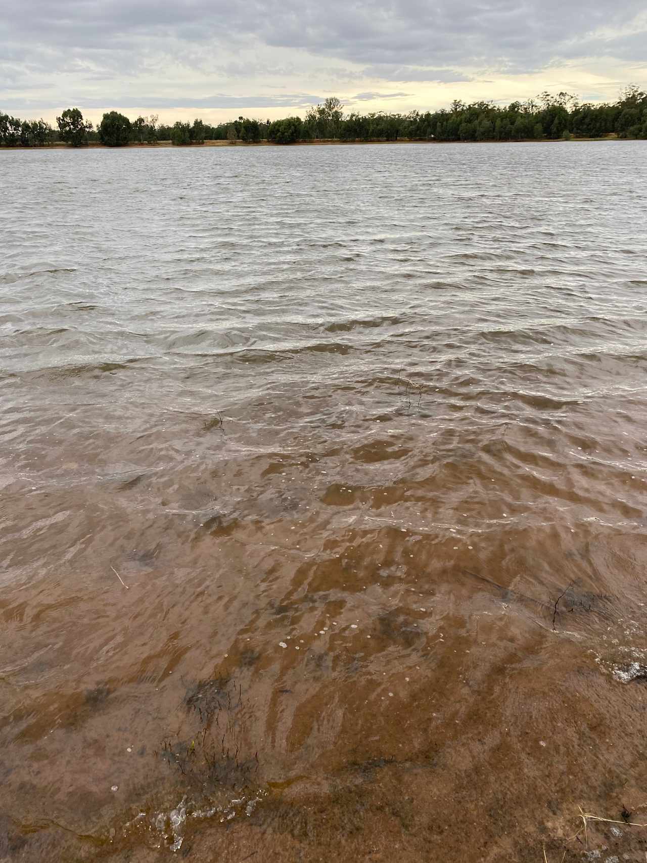 Mirrool Creek, Lake Abortree