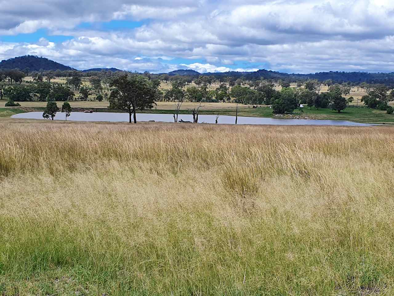 View from camp 3