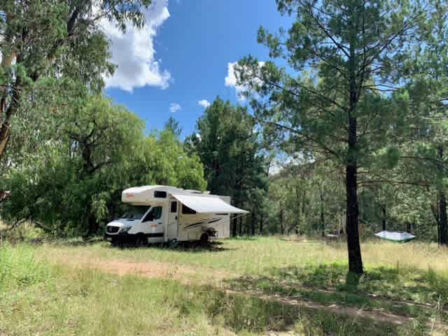 The Enchanting Site - a nice, big, flat site for large groups or multiple set ups with a nice mix of sun and shade. Close to the swimming hole. 