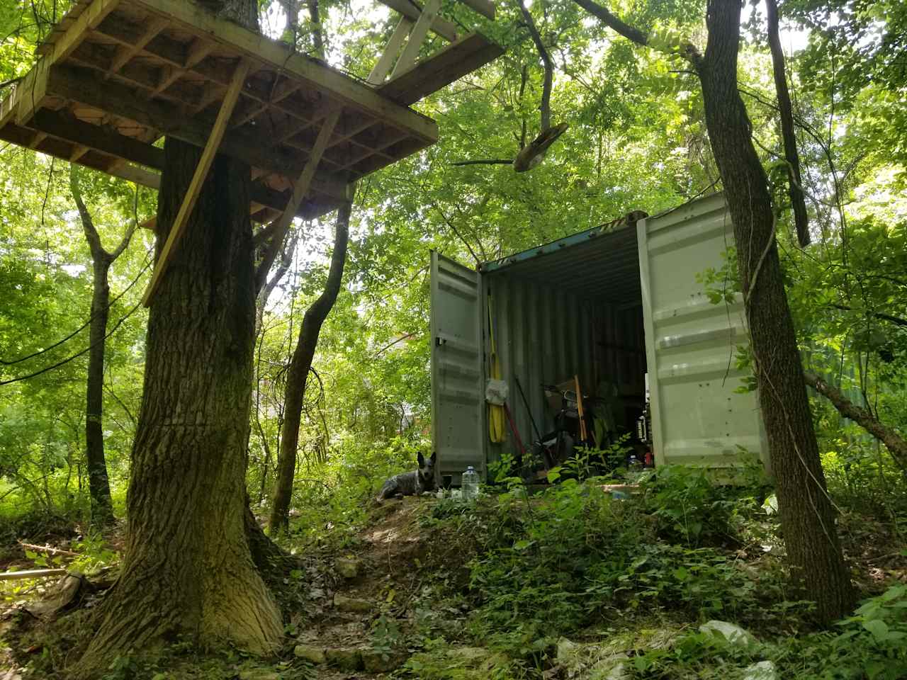 The shipping container is locked, this photo is just to display the privacy available on the back side of the property.