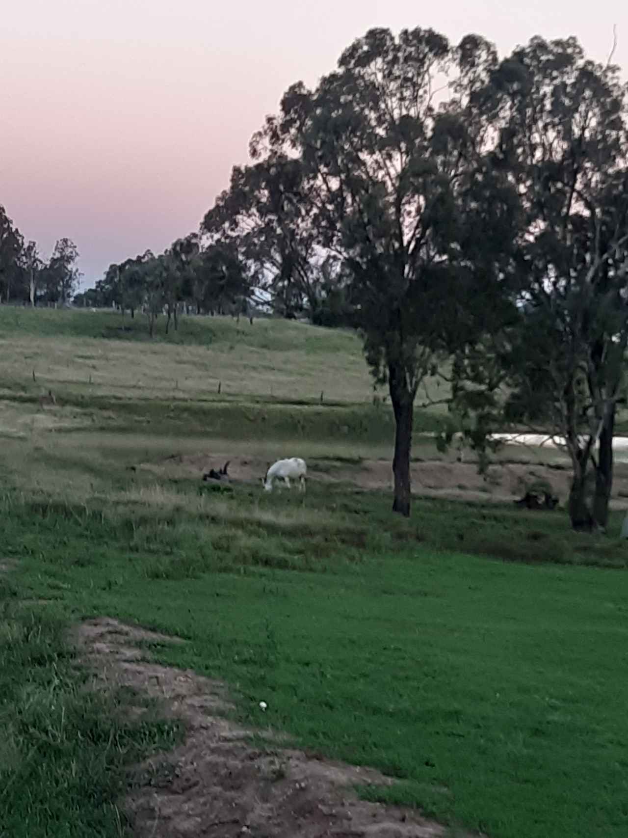 Camping near Willowbank Raceway