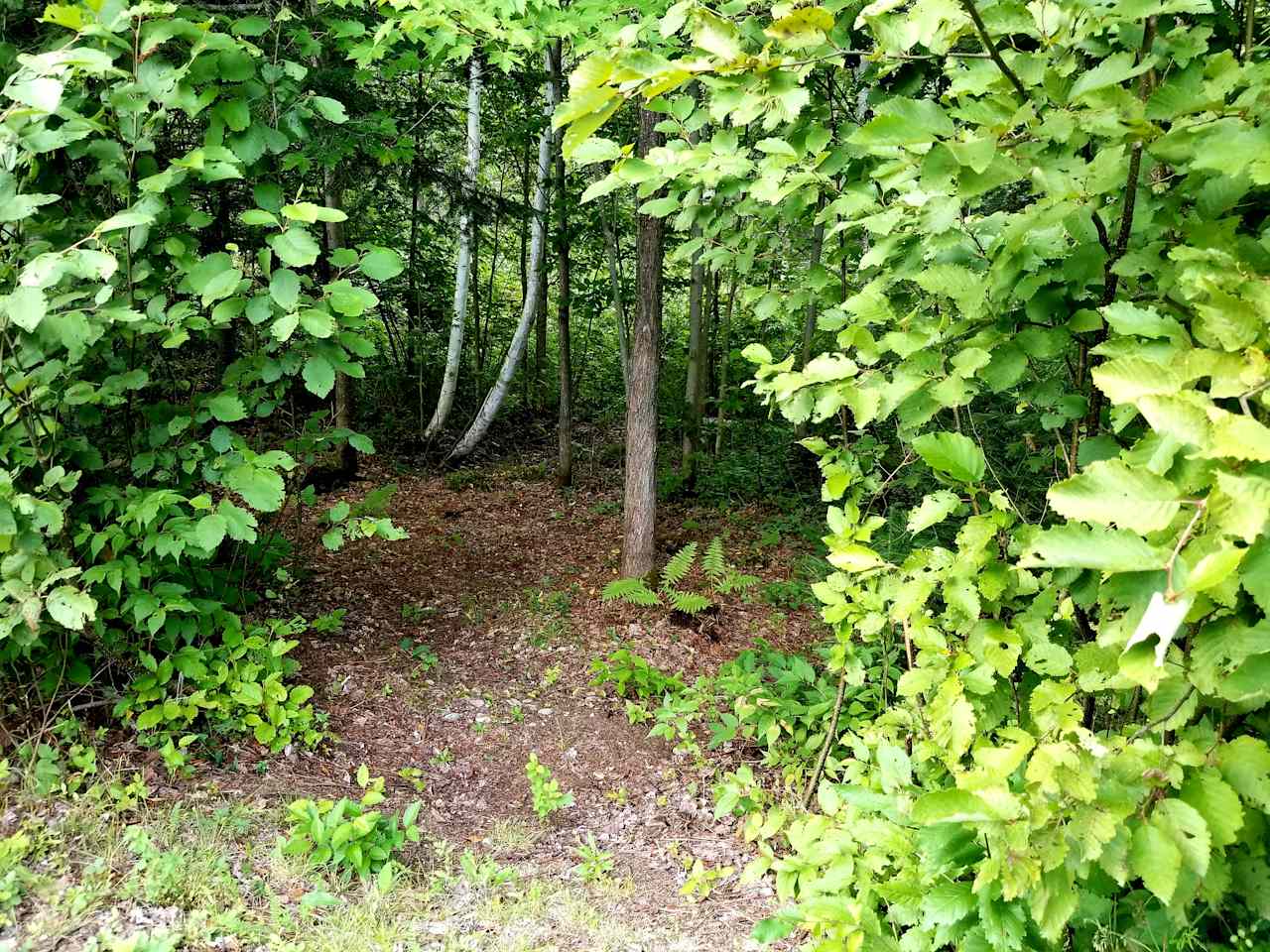 One campsite along set right off the main driveway