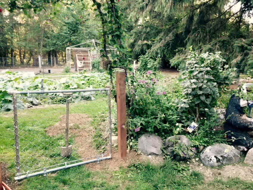 Camp with the animals at HHH Ranch