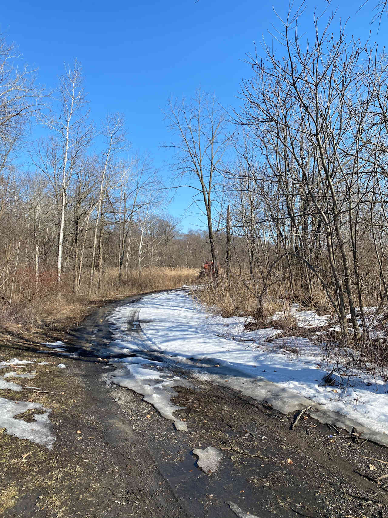 20 acre fallow farm 10 acres forest