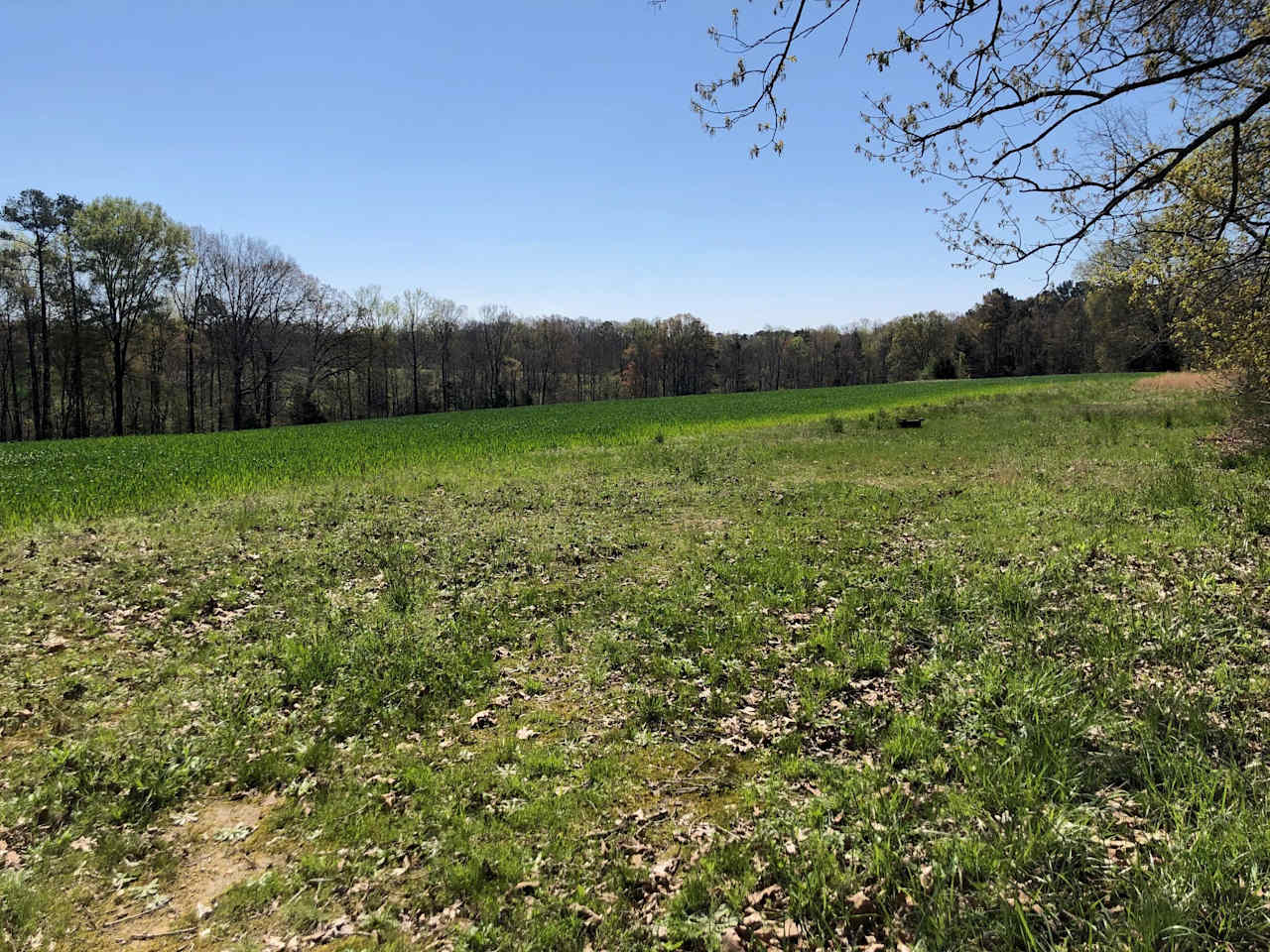 Total Isolation - South 40 Acre Lot