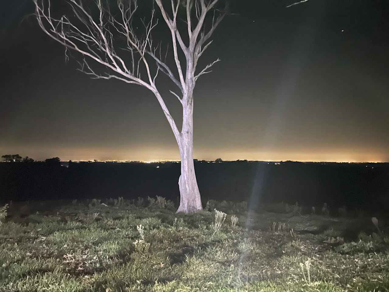 Fantastic evening view of Sydney