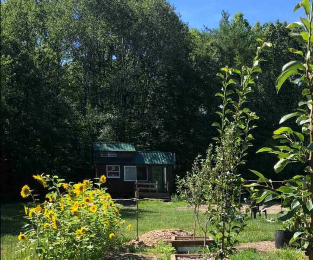 The “Little Dipper” Cozy Cabin